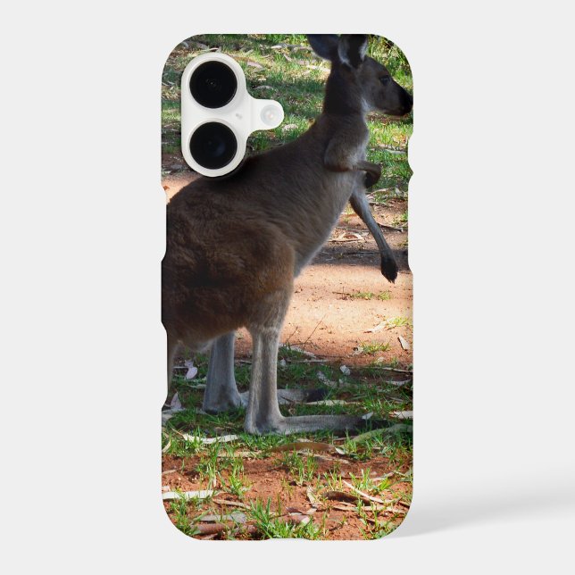 Kangaroo With A Itch To Scratch, (Back)