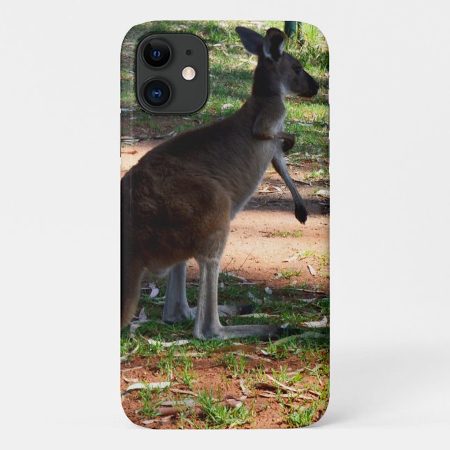 Kangaroo With A Itch To Scratch, Case-Mate iPhone Case (Back)