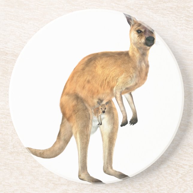 Kangaroo with Baby Joey Coaster (Front)