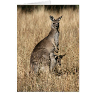 Kangaroo with Baby Joey in Pouch