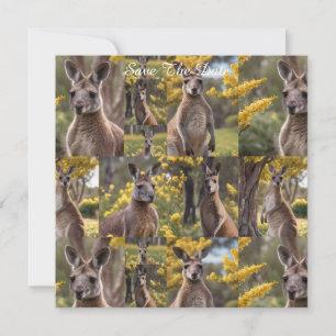 Kangaroos And Wattle Trees Photo Collage, Save The Date