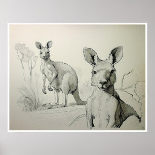 Kangaroos Drawing - Art Print