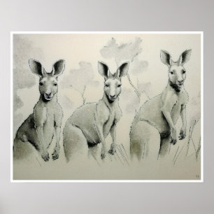 Kangaroos Drawing - Art Print