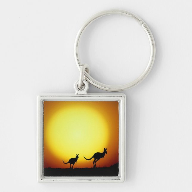 Kangaroos in the Australian Outback Key Ring (Front)