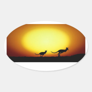 Kangaroos in the Australian Outback Oval Sticker