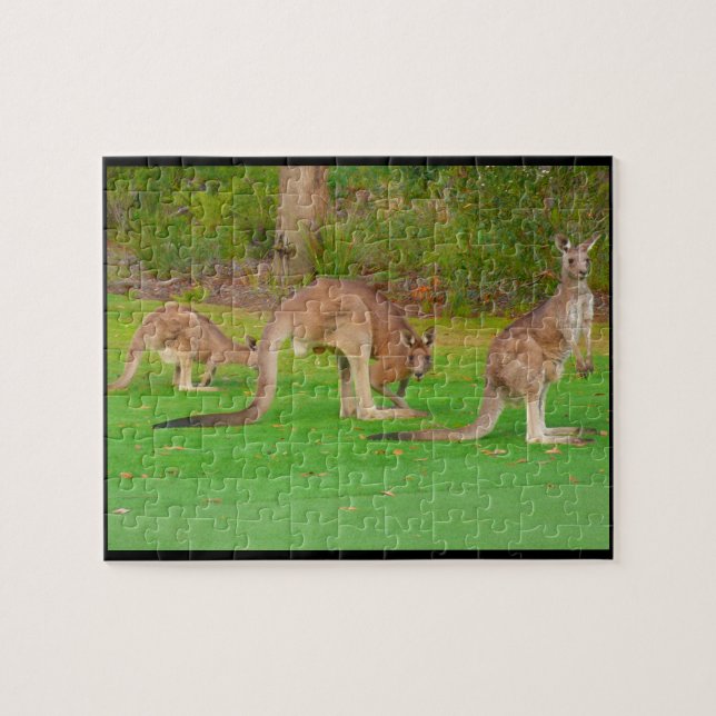 kangaroos jigsaw puzzle (Horizontal)