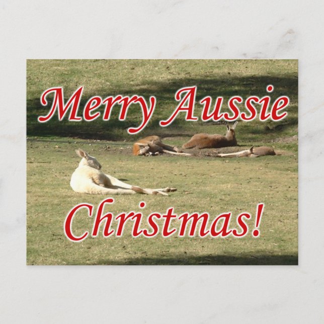 Kangaroos Postcard (Front)