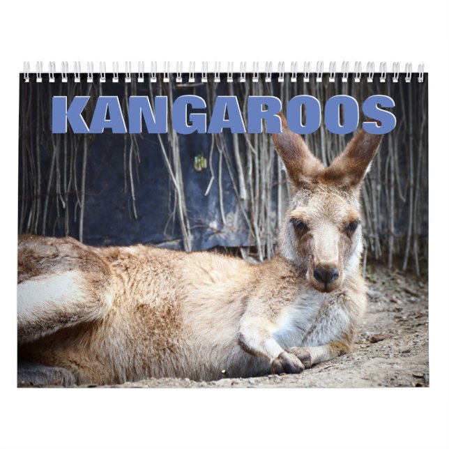 Kangaroos Wall Calendar (Cover)