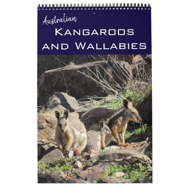 kangaroos wallabies 2027 calendar (Cover)