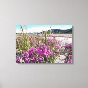 Kangerlussuaq Greenland Canvas Print