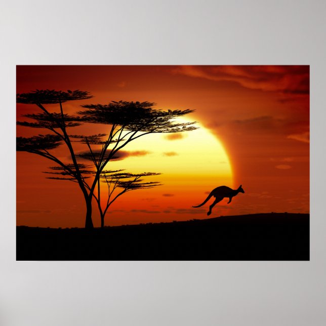 kangoroo at sunset poster (Front)