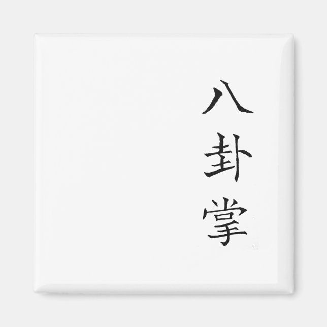 Kanji Characters Chinese Text Baguazhang Magnet (Front)