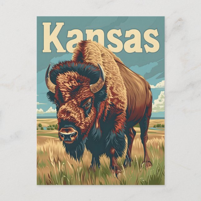 Kansas American Bison Postcard (Front)