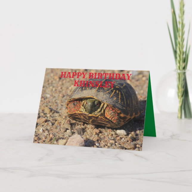 Kansas Box Shell Turtle Birthday Greeting Card (Front)