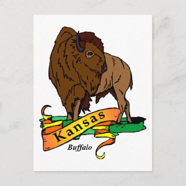Kansas Buffalo Postcard (Front)