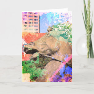 Kansas City Plaza Horse Fountain Artistic Colours Card