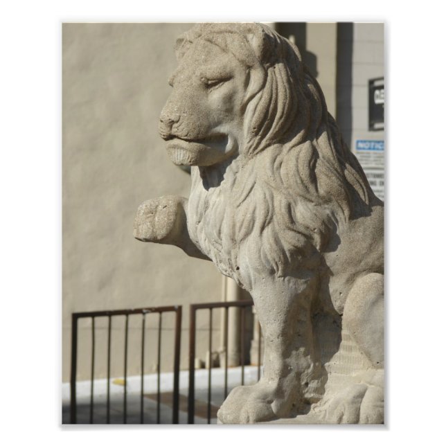 Kansas City Plaza Lion Statue Photo Print (Front)