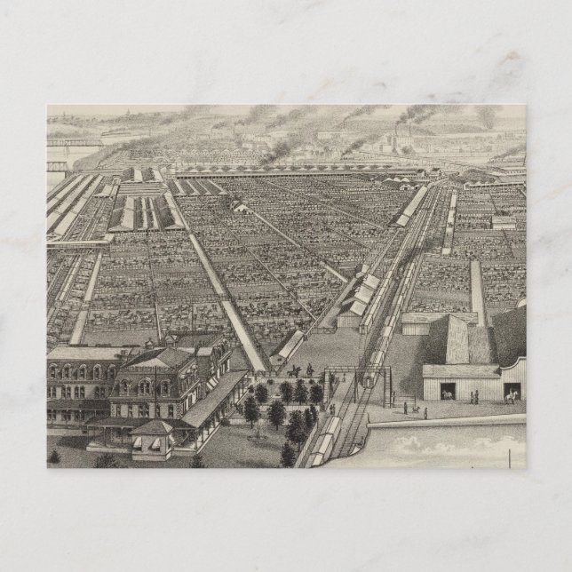 Kansas City Stock Yards, Kansas City, Kansas Postcard (Front)