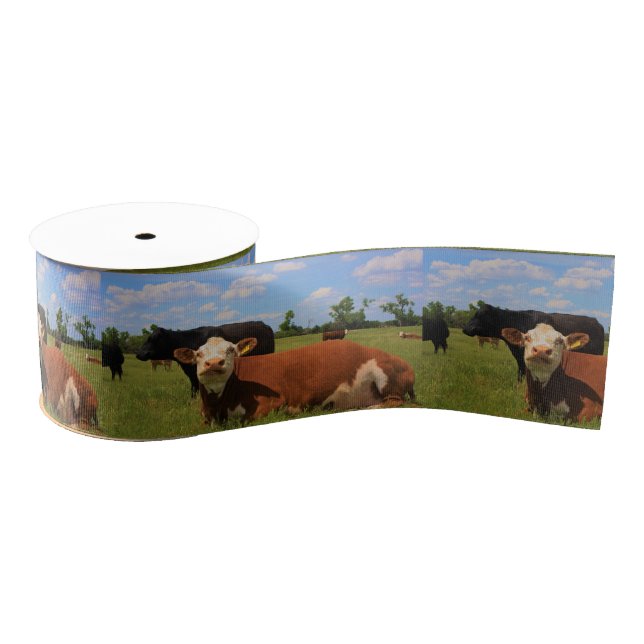 Kansas Country Cow's Ribbon Grosgrain Ribbon (Spool)