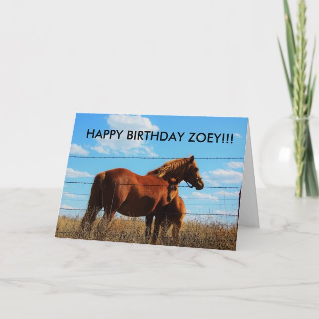 Kansas Country Horses Birthyday Card (Front)