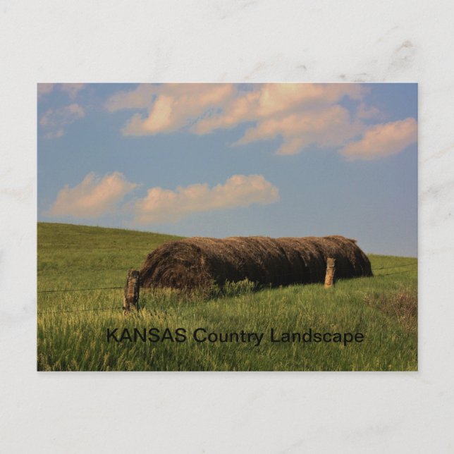 KANSAS Country Landscape Postcard (Front)
