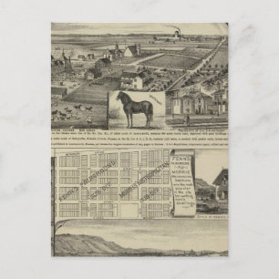 Kansas Farms Postcard