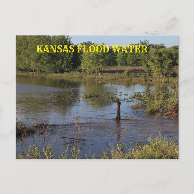 Kansas Flood water in a farm field.Post Card. Postcard (Front)