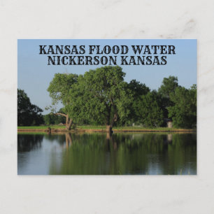 Kansas Flood Water Nickerson Kansas Post Card