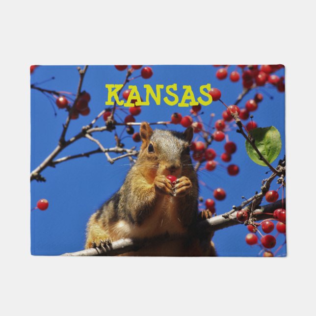 Kansas Fox Tail Squirrel   Square Doormat (Front)