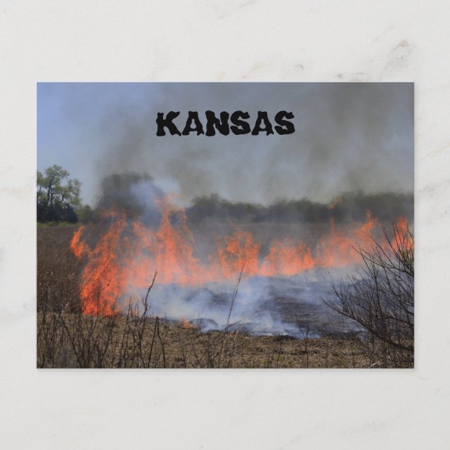 Kansas Grass Burning for New Plant Life Post Card (Front)