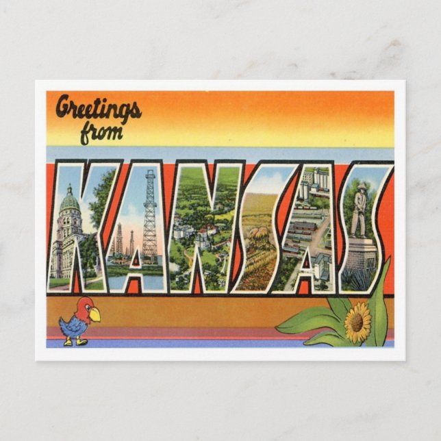 Kansas Greetings From US States Postcard (Front)