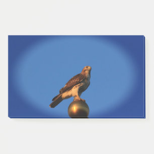 Kansas Hawk on a flag pole Post it Notes