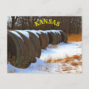 Kansas Hay Bales with snow in a field Post Card