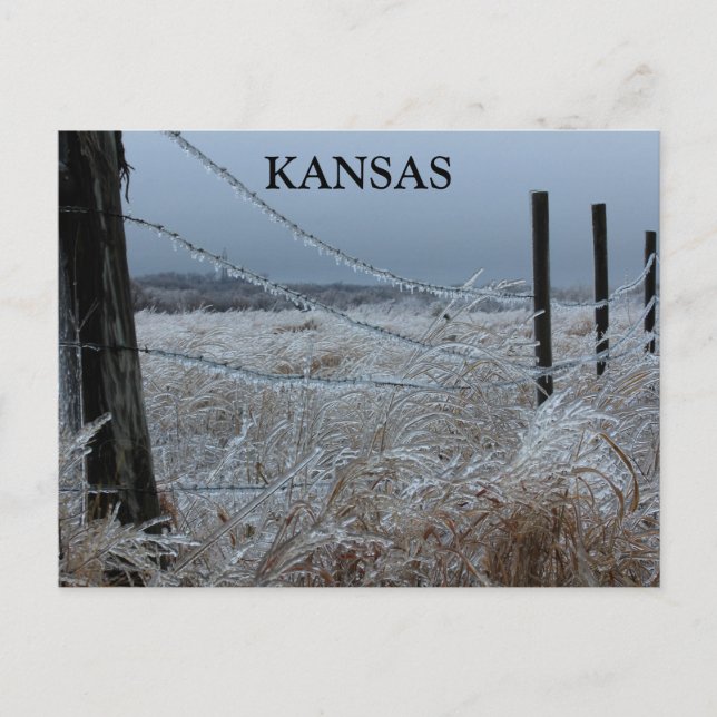 Kansas Ice on a fence Postcard (Front)