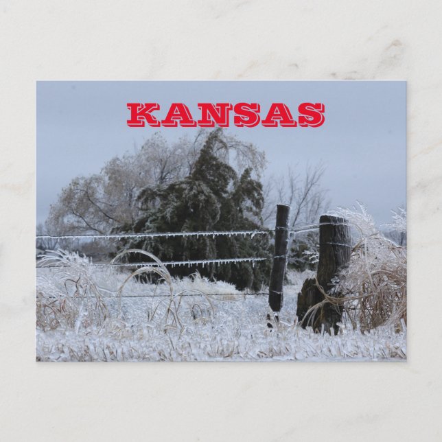 Kansas Icy Fence Post Card (Front)