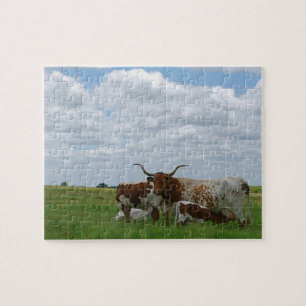 Kansas Longhorns Puzzle