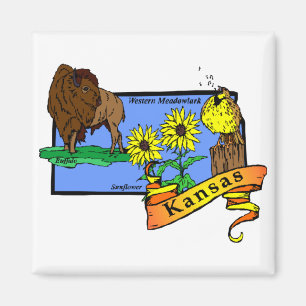 Kansas Map 2 Magnet