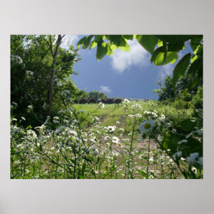Kansas Meadows and Wildflowers Poster
