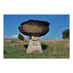 Kansas Mushroom Rock in a pasture Photo/Poster Photo Print
