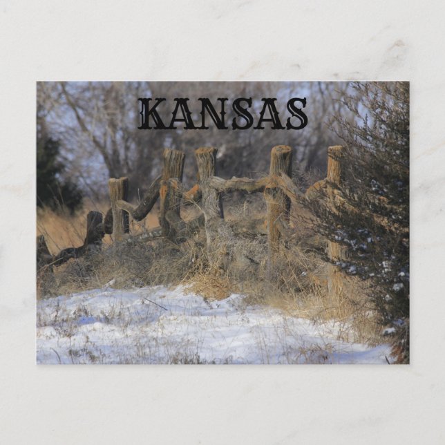 Kansas Old Wooden Fence Post Card (Front)