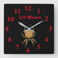 Kansas Orb Weaver Square Clock