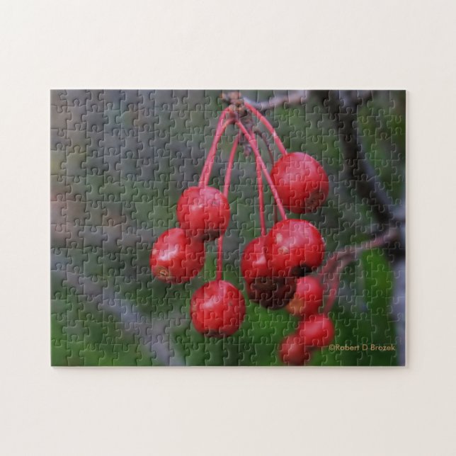 Kansas Red Berries closeup  Puzzle (Horizontal)