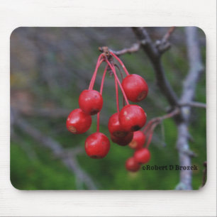 Kansas Red Berries shot closeup Mouse Pad