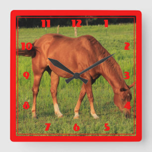 Kansas Red Horse Square Wall Clock