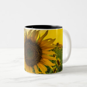 Kansas Sunflower Field Two-Tone Coffee Mug