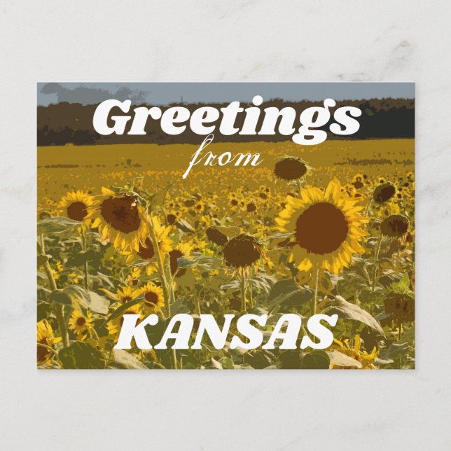 Kansas Sunflower Greetings Postcard (Front)