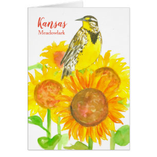 Kansas Sunflower Museum Gift Store Souvenir