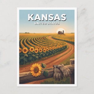 Kansas Sunflowers in the Golden Hour Abilene Postcard