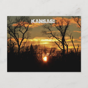 Kansas Sunset with clouds and trees Post Card. Postcard
