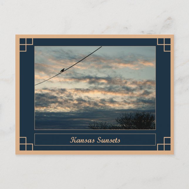 Kansas Sunsets Postcard (Front)